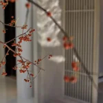 Suburban Shanghai Sanctuary